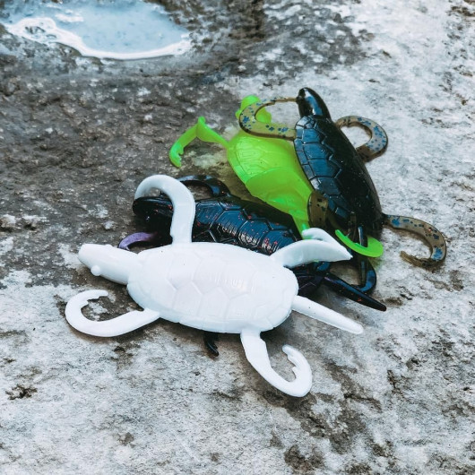 DoomzDay Turtles